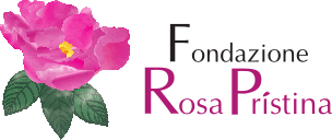 Fondazione Rosa Pristina